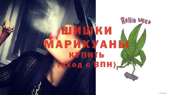 стафф Алзамай